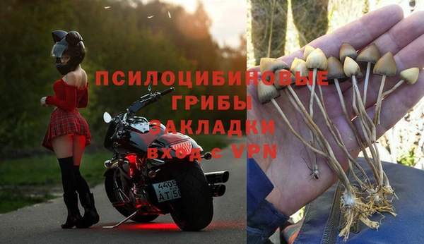 спиды Армянск