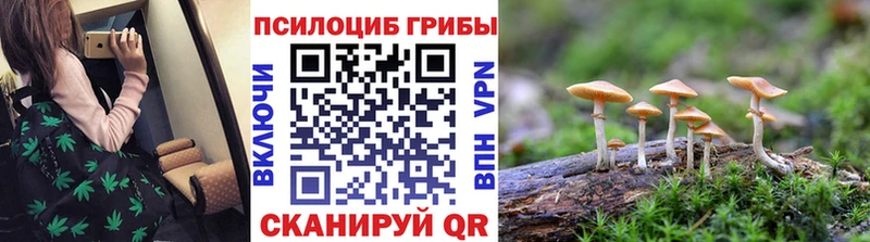 Галлюциногенные грибы мухоморы  OMG tor  Барыш  хочу  